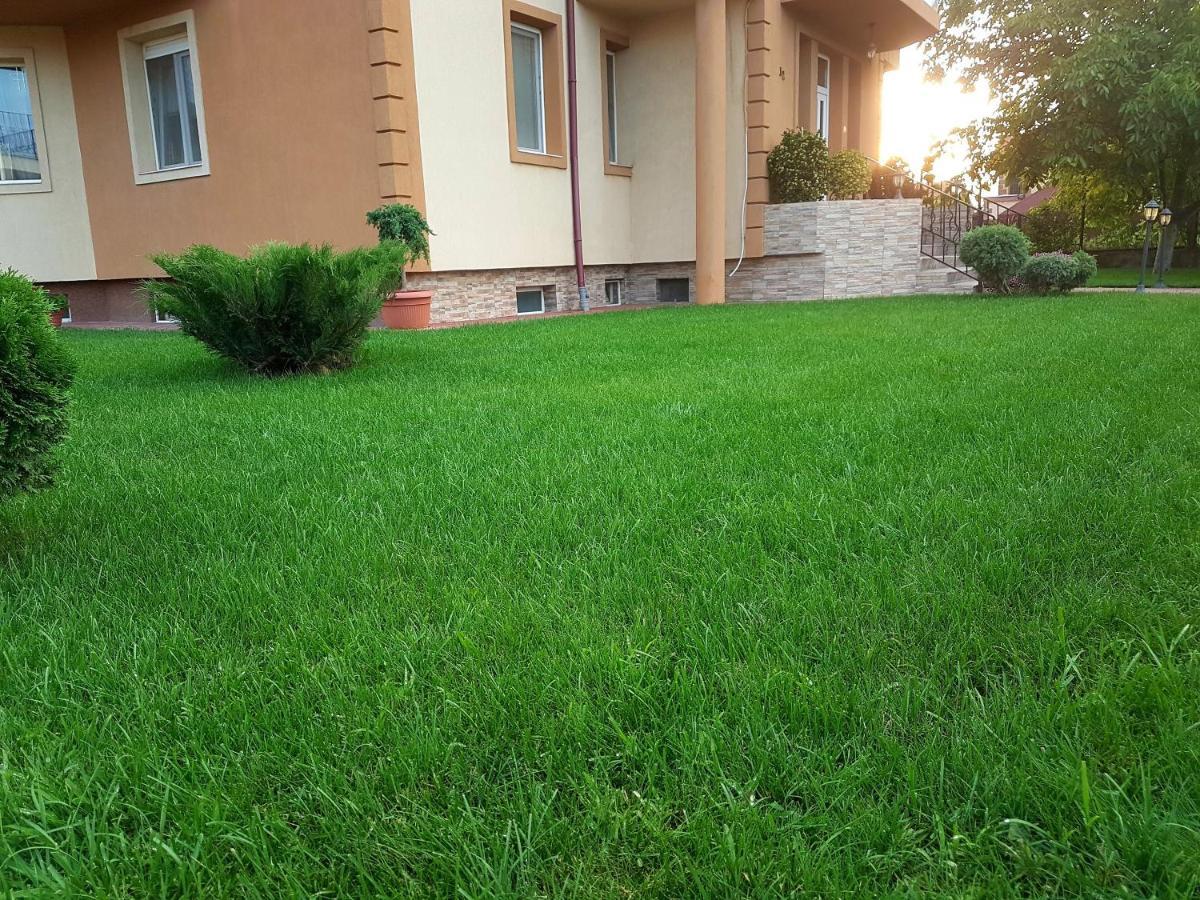 Casuta Cu Tei Villa Nagyvárad Kültér fotó