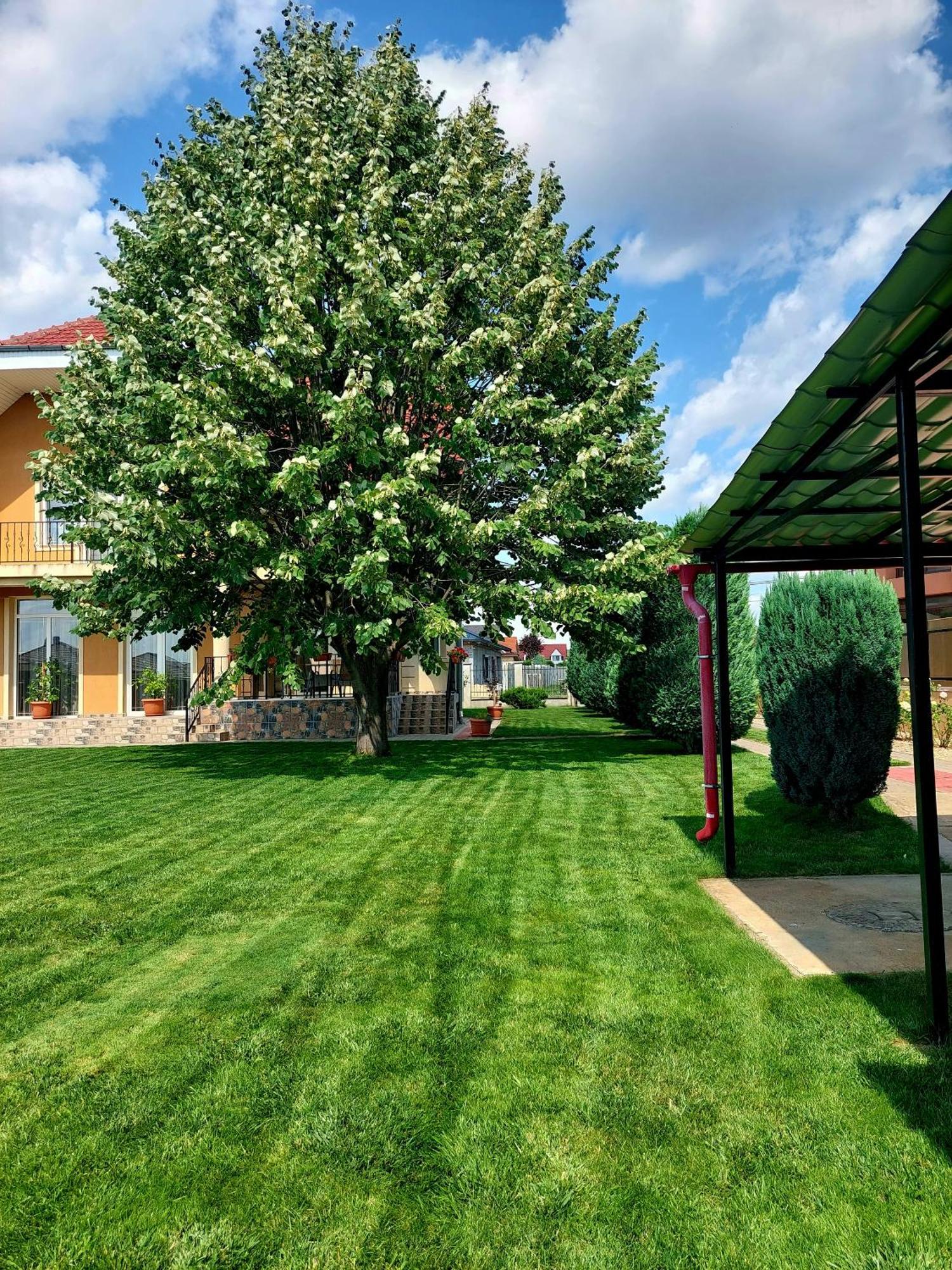 Casuta Cu Tei Villa Nagyvárad Kültér fotó